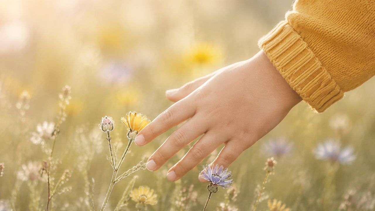 Hochsensibles Kind – einfühlsam und besonders wahrnehmend