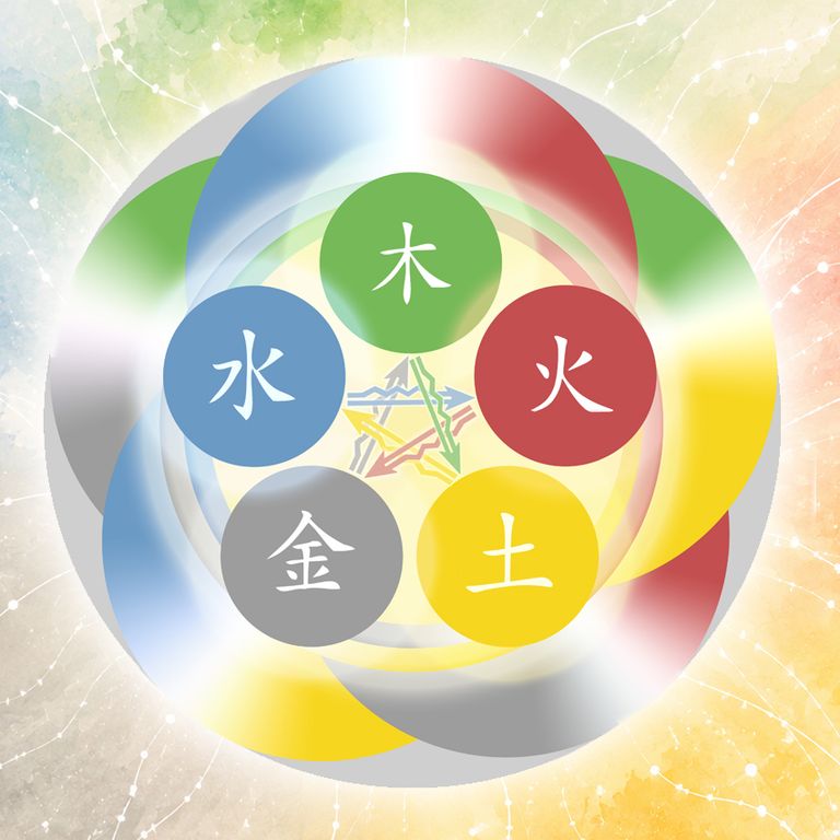 Traditionelle Chinesische Medizin Online-Vortrag